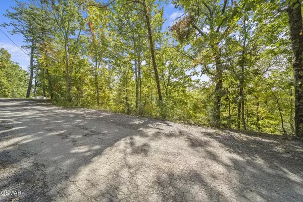 Sevierville, TN 37876,Lot 256 Fantasy WAY