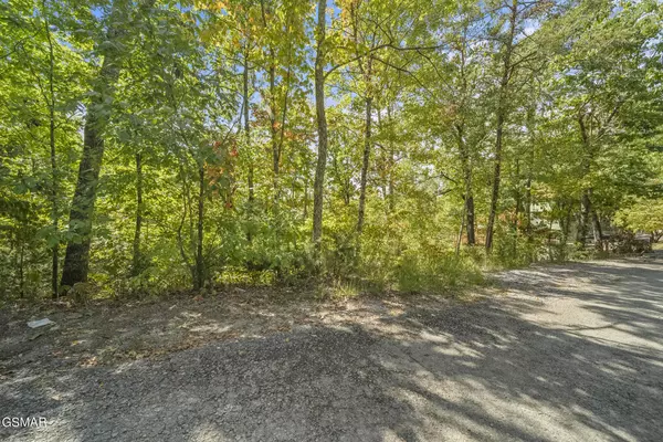 Sevierville, TN 37876,Lot 256 Fantasy WAY