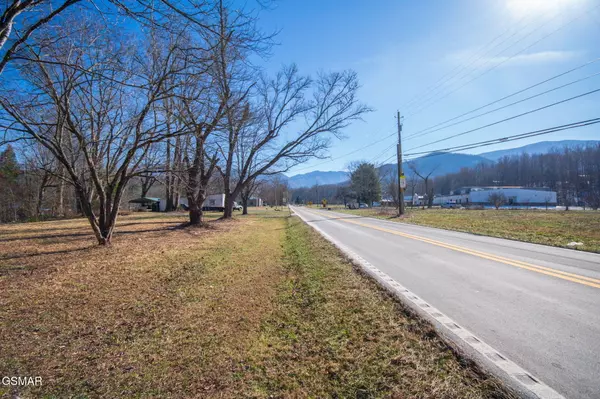 Cosby, TN 37722,Lot 35 S Hwy 32 HWY
