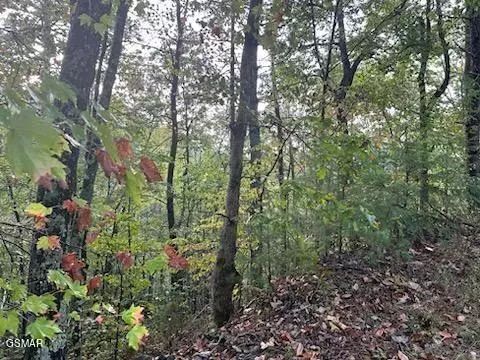 Sevierville, TN 37862,Lot 20 Sugar Maple LOOP