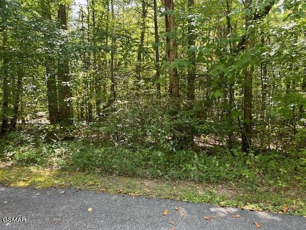 Lot 5/6 Ardell WAY, Cosby, TN 37722