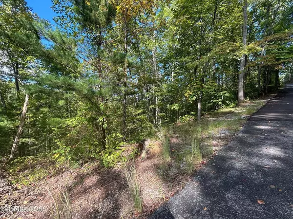 Lot 9 Wildcat Ridge Road, Sevierville, TN 37862