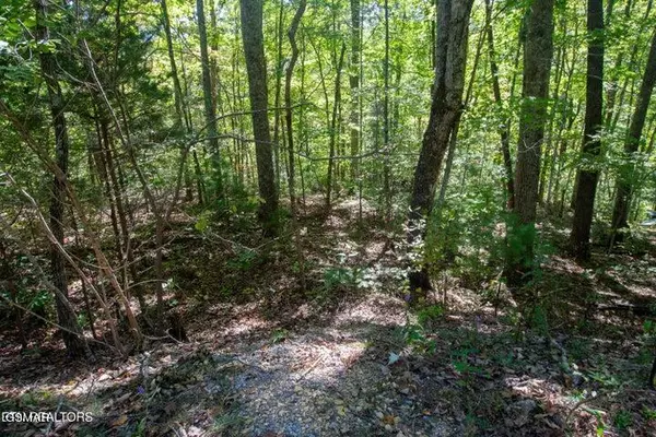 Sevierville, TN 37862,Lot 8 Hatcher Top Road