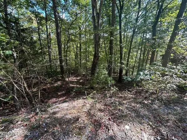 Sevierville, TN 37862,Lot 8 Hatcher Top Road