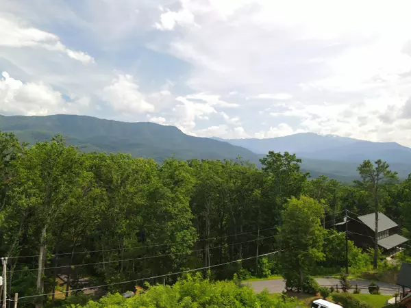 Gatlinburg, TN 37738,839 Pine Top LN