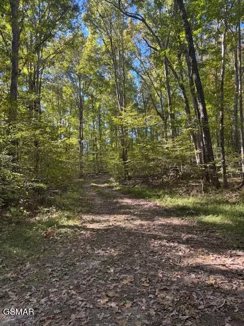 Baneberry, TN 37890,Lot 1210 Lee PL