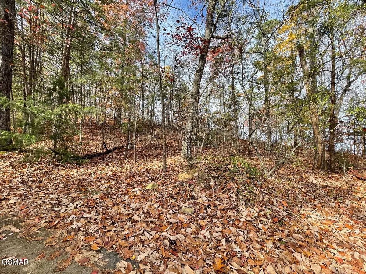 Pigeon Forge, TN 37863,Lot 21R Sugar Mtn Way