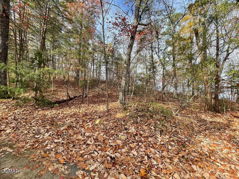 Lot 21R Sugar Mtn Way, Pigeon Forge, TN 37863