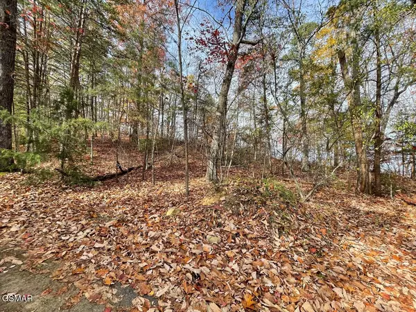 Pigeon Forge, TN 37863,Lot 21R Sugar Mtn Way