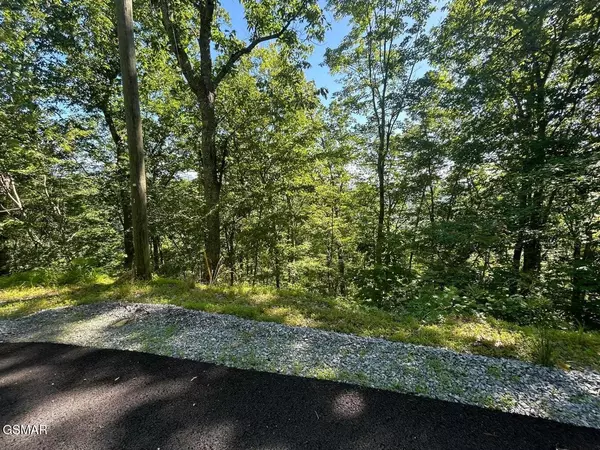 Sevierville, TN 37862,Lot 1R Overholt Trail