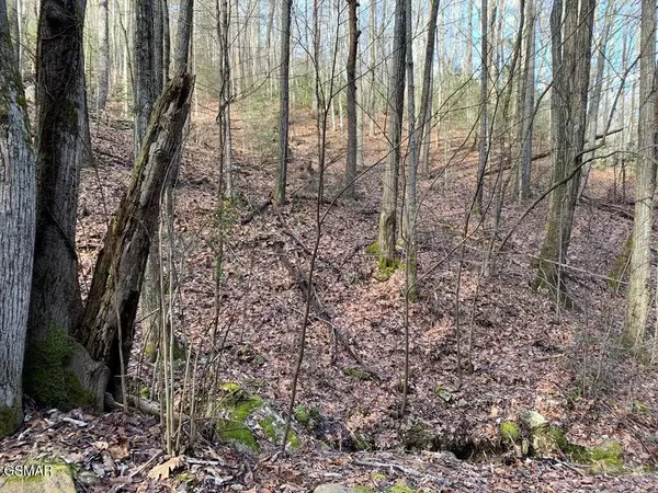 Lot 14 Black Walnut Flats Road, Sevierville, TN 37862