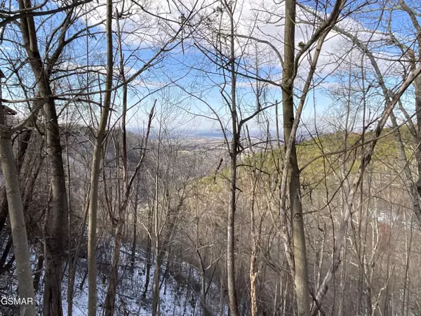 Sevierville, TN 37876,Lot 134 Billard WAY