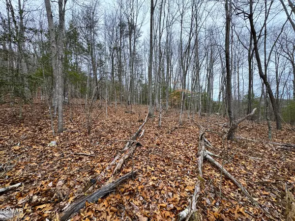 Del Rio, TN 37727,Lot 44 Zuni WAY