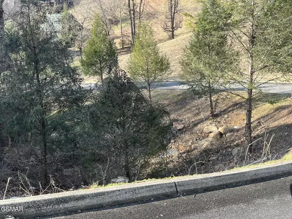 Sevierville, TN 37862,Lot 18 Jed TRL