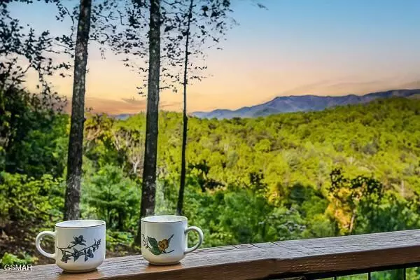 Gatlinburg, TN 37738,719 Sunshine Trl