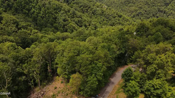 Sevierville, TN 37862,Lot 007B Shagbark Hickory Ridge