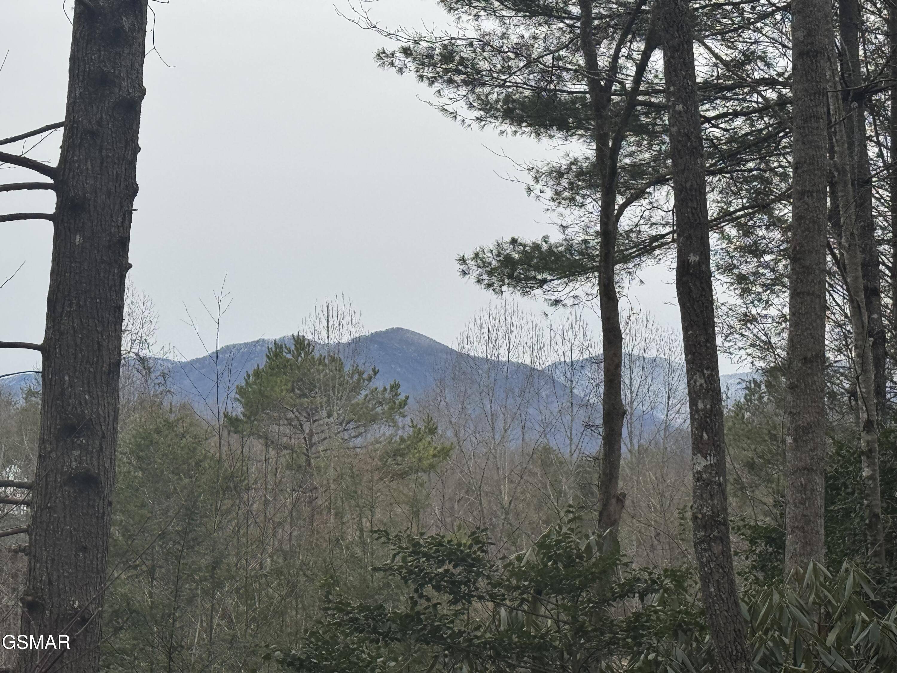 Gatlinburg, TN 37738,1719 Brent Hills Blvd BLVD