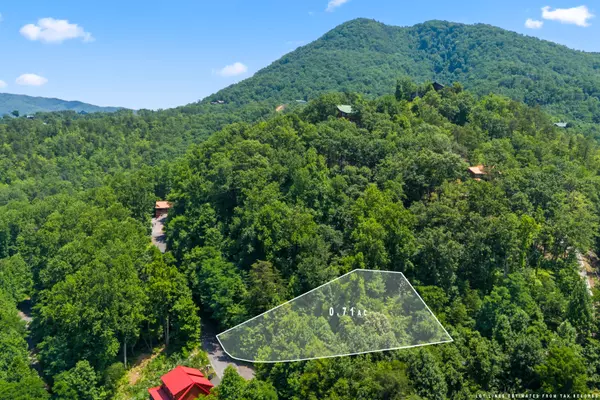 Sevierville, TN 37862,Lot 22 Wild Azalea LN