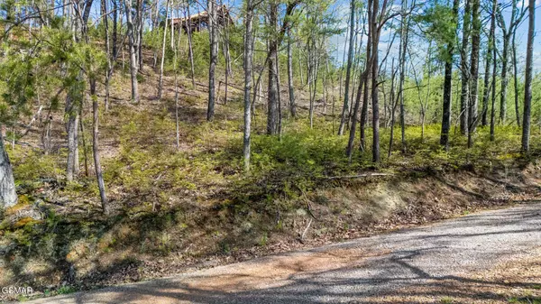 Sevierville, TN 37862,Lot 30 Huckleberry WAY