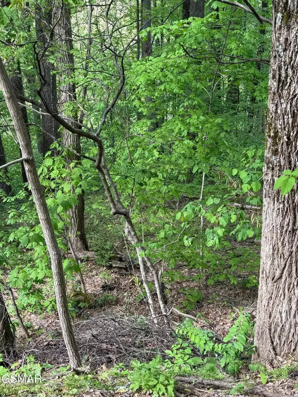 Sevierville, TN 37862,Lot 13A Sugar Maple Loop Road