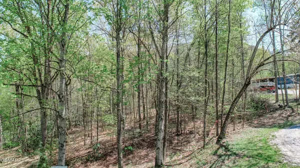 Newport, TN 37821,1776 Bullard Dr