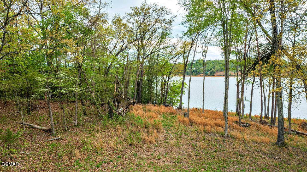 White Pine, TN 37890,Lot 55 Sunset BLVD