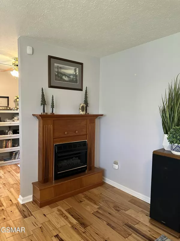 Baneberry, TN 37890,267 Back 9 DR