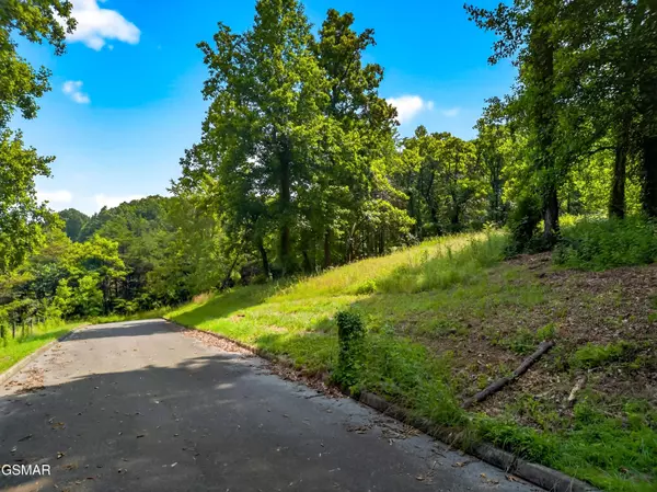 Dandridge, TN 37725,Lot 37 Stonehenge WAY