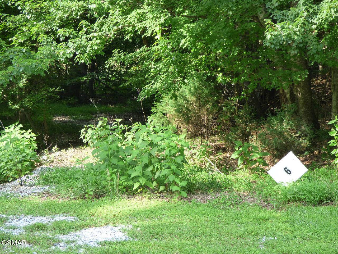 Lot 6 Cove Springs DR, Dandridge, TN 37725