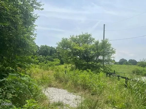 New Market, TN 37820,Lot 14R Pleasant View Cemetery Rd