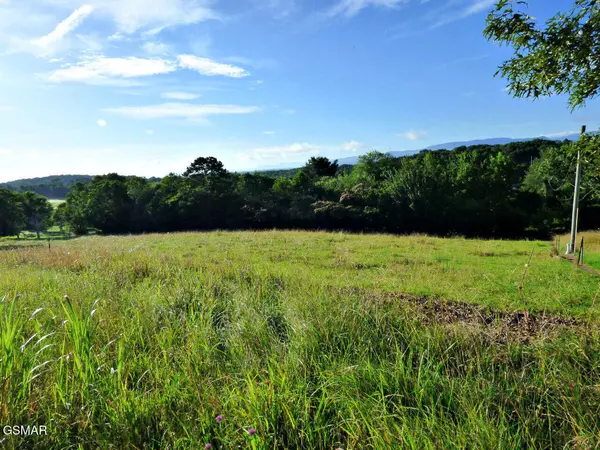 Lot 13F Sunnydale CIR, Dandridge, TN 37725