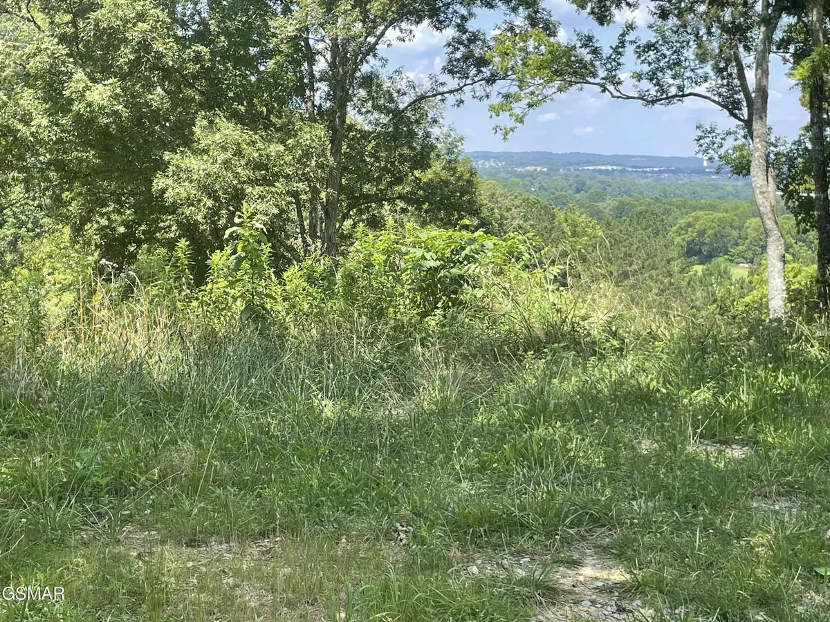 Sevierville, TN 37876,Lot 1 King Estates RD