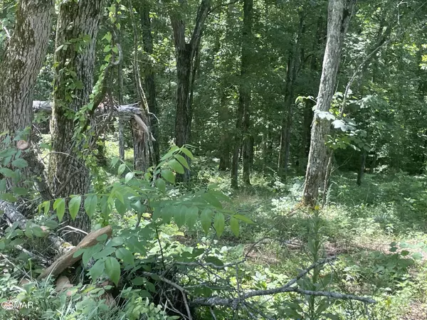 Sevierville, TN 37876,Lot 2 King Estates RD