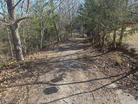 Murrell Meadows Drive DR, Sevierville, TN 37876
