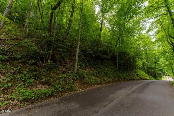 Gatlinburg, TN 37738,Lot 11 Zurich RD