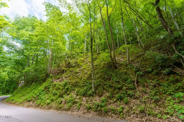 Lot 12 Zurich RD, Gatlinburg, TN 37738