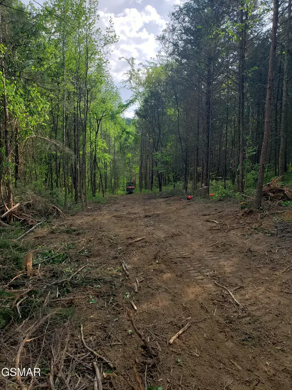 Newport, TN 37821,397 Moore Hollow RD