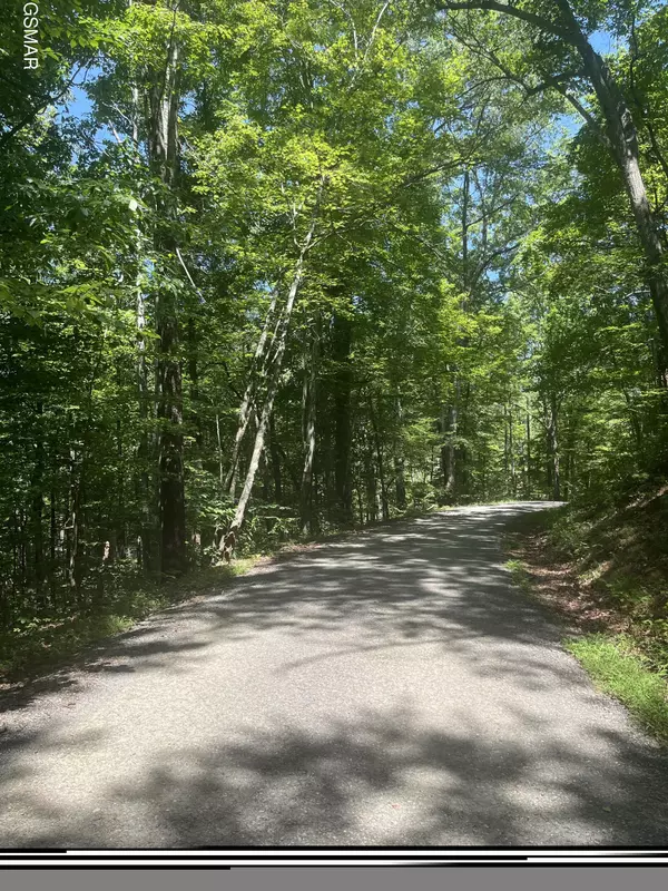 Newport, TN 37821,Lot 10 Windswept CIR