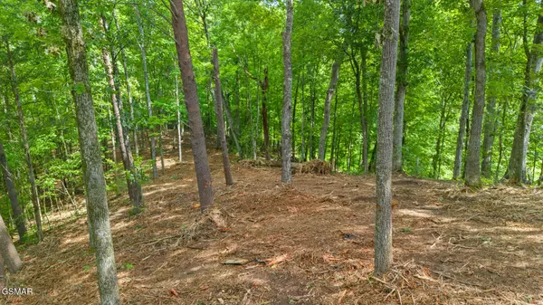 Sevierville, TN 37862,Lot 1 Cedar Hills RD