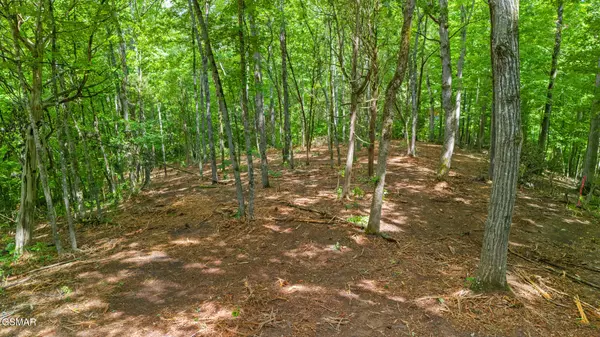 Sevierville, TN 37862,Lot 1 Cedar Hills RD