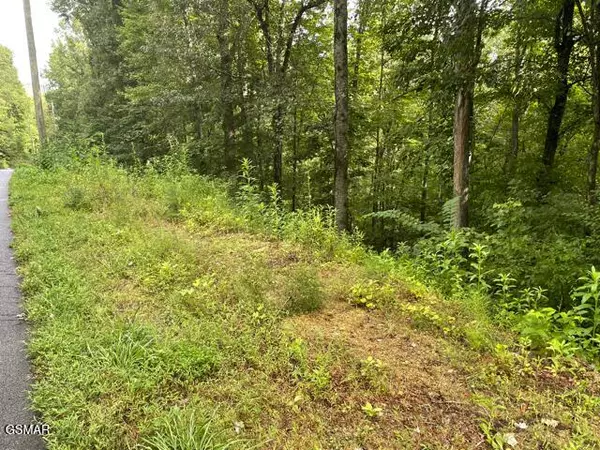 Sevierville, TN 37862,3407 Covemont LN