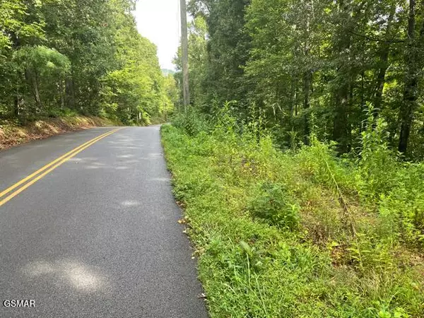 Sevierville, TN 37862,3407 Covemont LN