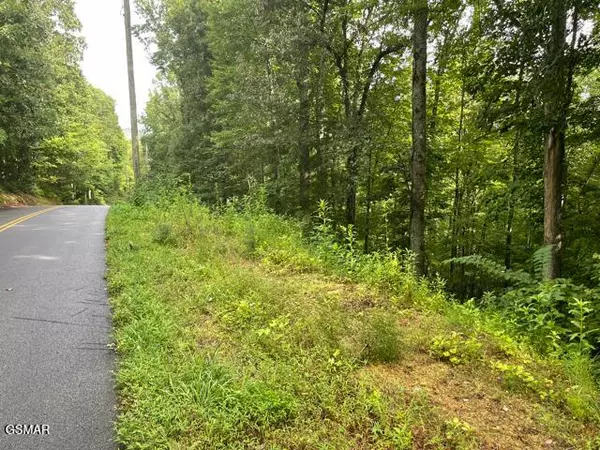 Sevierville, TN 37862,3407 Covemont LN