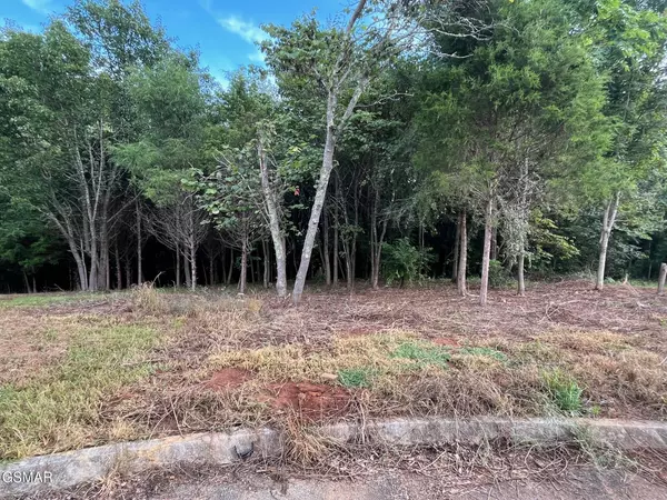 Dandridge, TN 37725,Lot 30 Sullivan PT