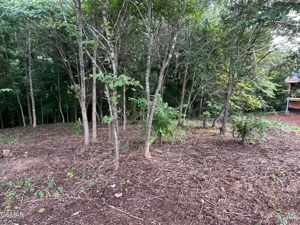 Dandridge, TN 37725,Lot 30 Sullivan PT