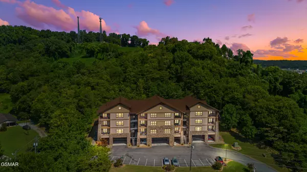 Sevierville, TN 37862,224 Maggie Mack Ln 201