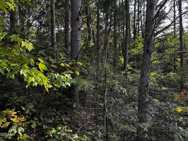 Sevierville, TN 37876,Lot 60 Pembroke Dr