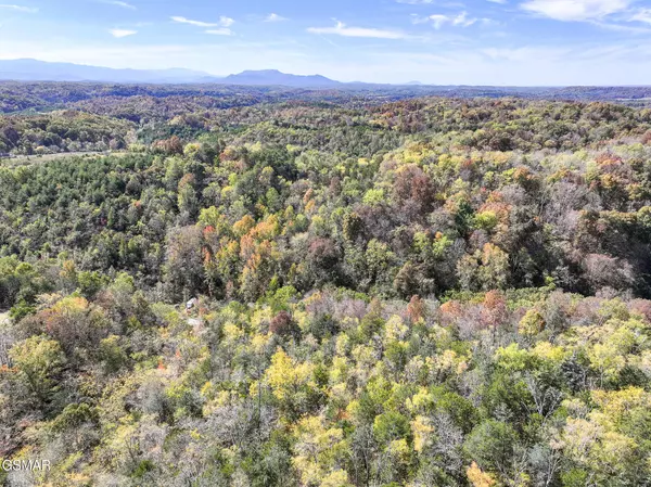 Bybee, TN 37713,00 Bruner Grove