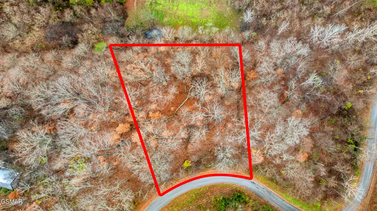 Sevierville, TN 37876,Lot 22 Penelope LN