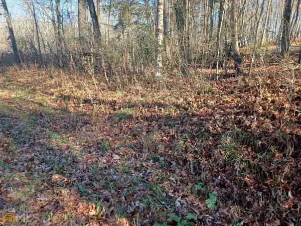 Blue Ridge, GA 30513,0 Bearden Rd (3.75ac)